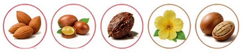 Amande, argan, ricin, onagre et karité